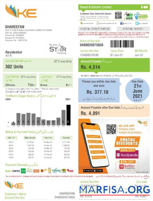 Printable PAKISTAN K ELECTRIC LIMITED utility bill Word and PDF template
